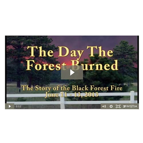 dvd the day the black forest fire burned